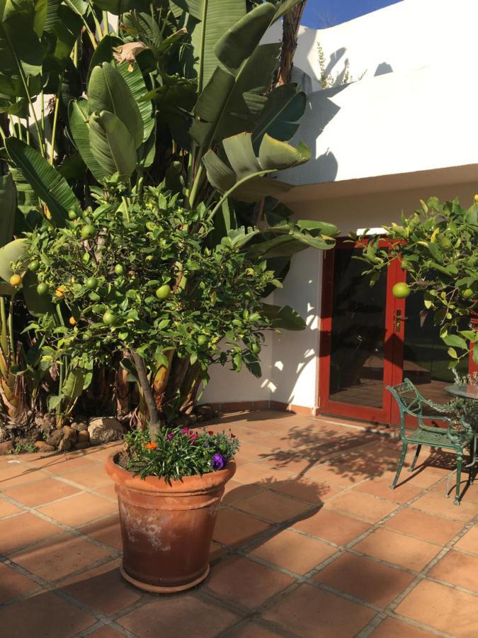 The Oasis Boutique Hotel & Residency Johannesburg Kültér fotó